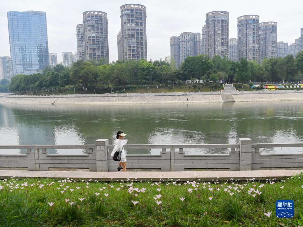 百老汇网址游戏